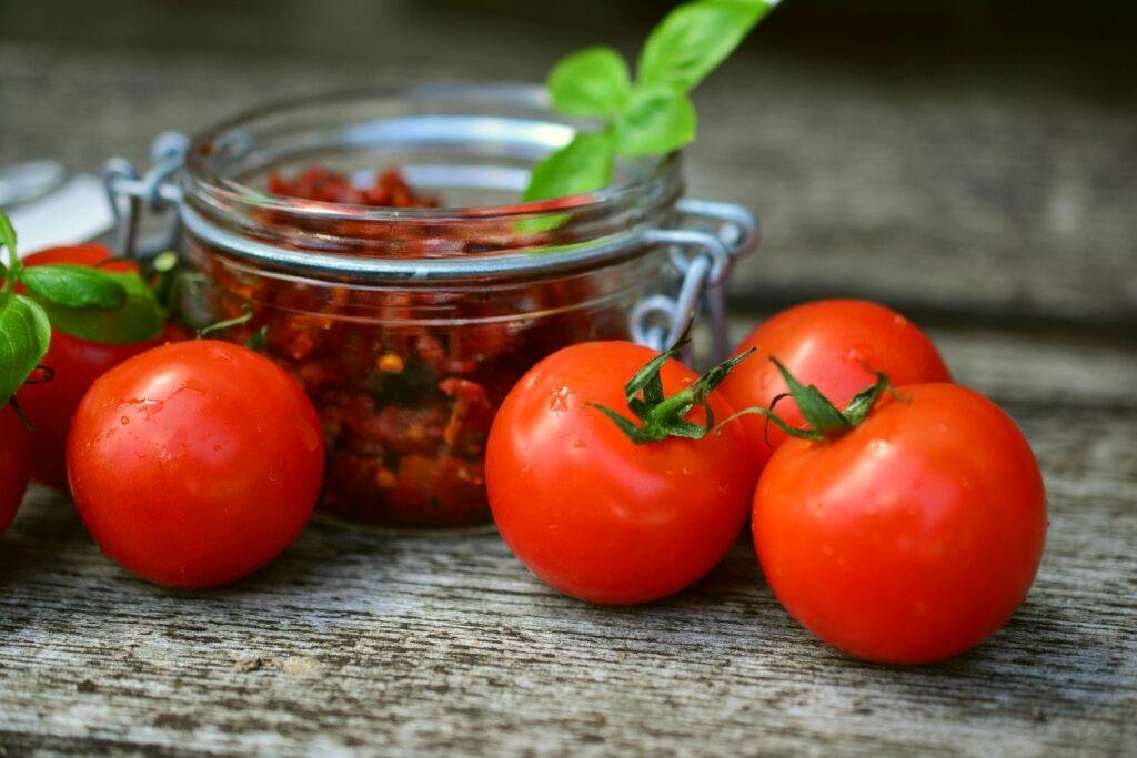 Can dogs eat tomatoes?